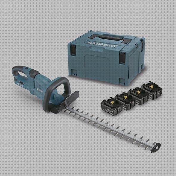 Las mejores marcas de 12v cortasetos cortasetos con bateria 12v