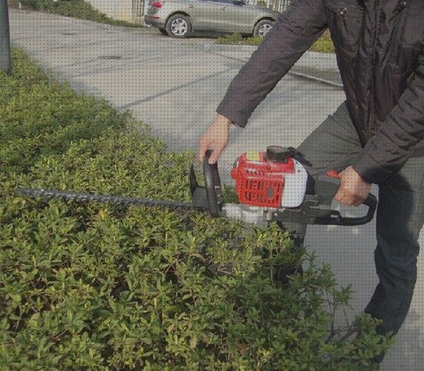 Las mejores jardines cortasetos cortasetos jardin gasolina