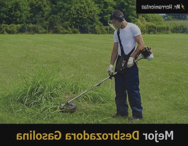 30 Mejores desbrozadoras arebos