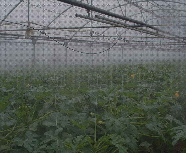 Las mejores marcas de difusor nebulizador Más sobre nebulizador c28p Más sobre nebulizador esencias difusor de riego nebulizador