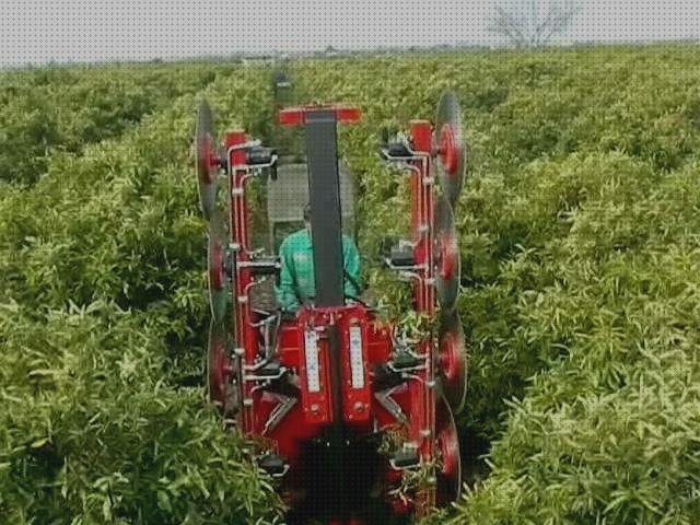 Las mejores máquinas podadoras de gasolina podadoras máquinas podadoras de frutales