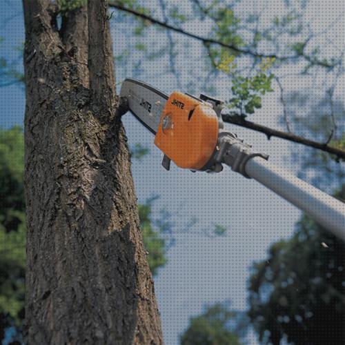 Review de motosierra altura stihl