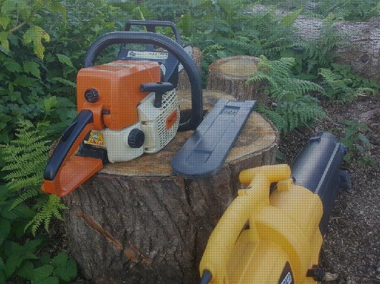 Las mejores marcas de Más sobre motosierra stihl 170 desbrozadora stihl motosierra stihl 023