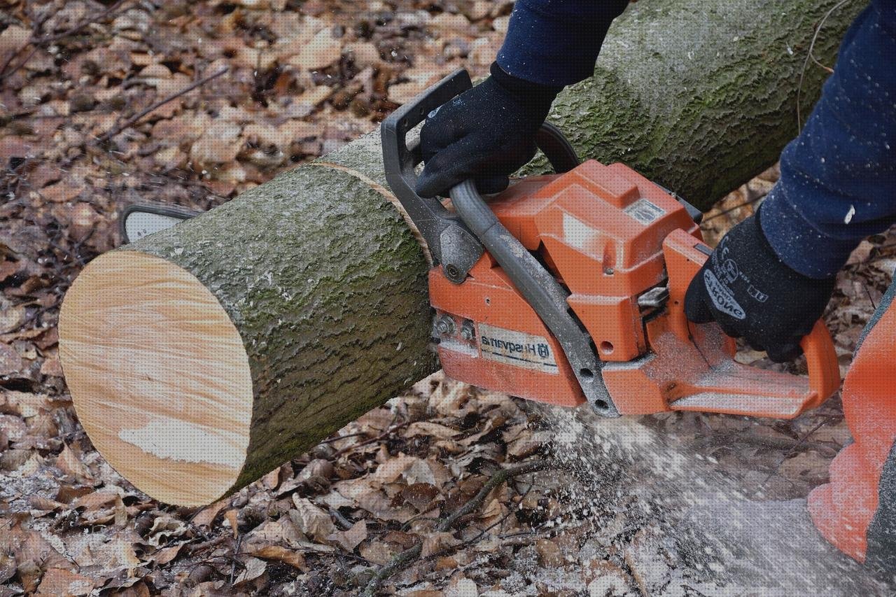 Review de motosierra stihl 025