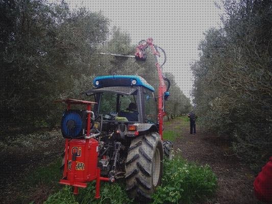 Los 32 Mejores podadoras arboles