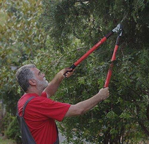 ¿Dónde poder comprar tijeras podadoras a bateria podadoras tijeras podadoras telescopicas?